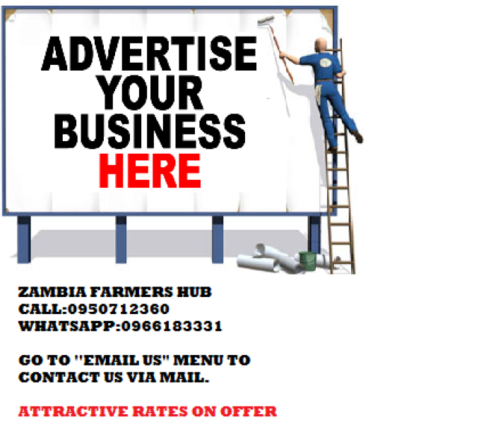 advertise your Business here for just ZK70 Monthly